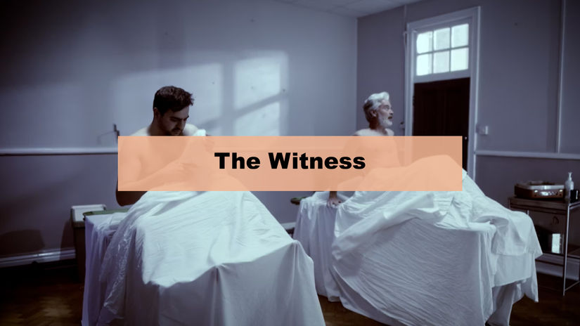 The Witness